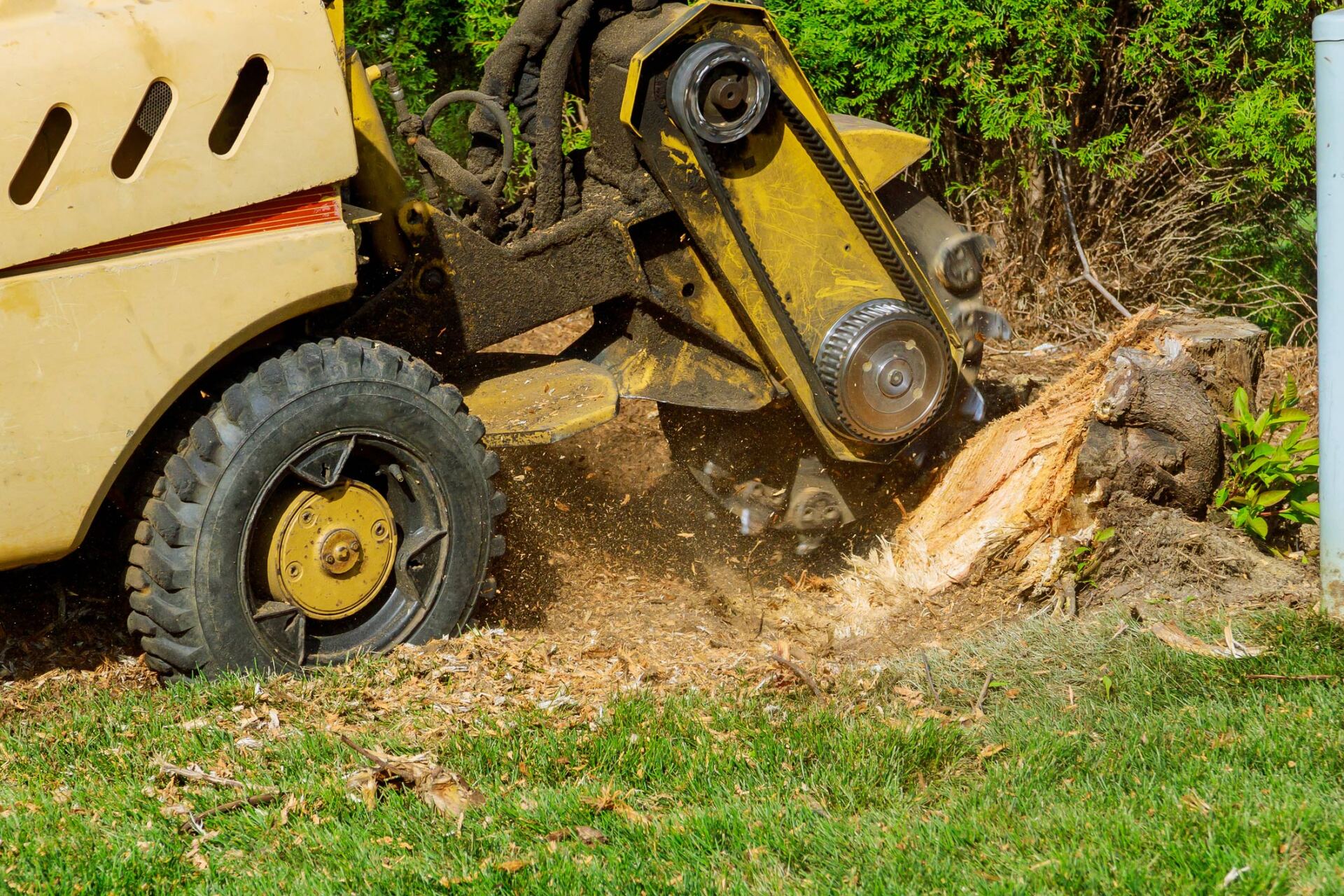 Tree Services Springdale, AR John’s Tree Service