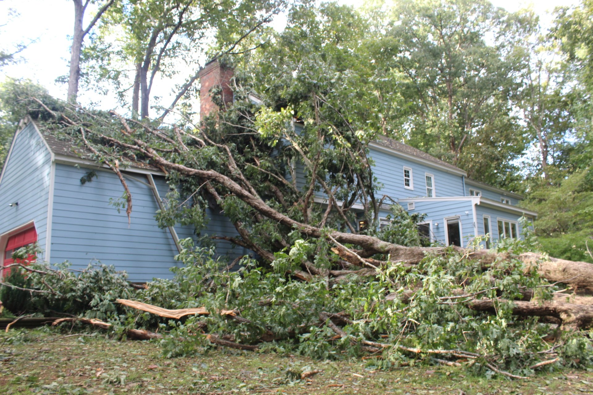 Tree Takedowns Midlothian, VA Woodchuckers Tree Service