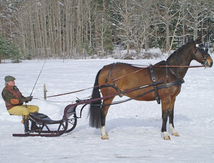 Swedish Racing Sleigh, horse drawn antique sleigh collection for sale
