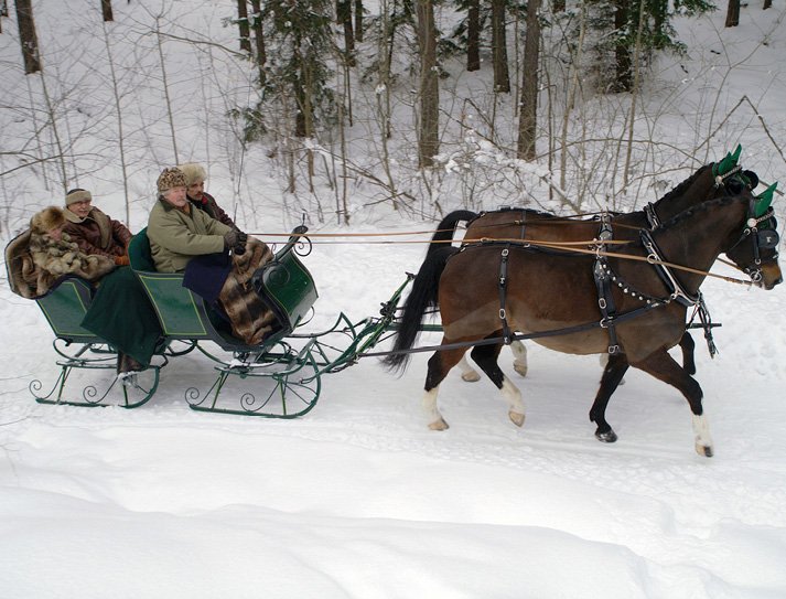 4Seated Bobsleigh, horse drawn antique sleigh collection for sale