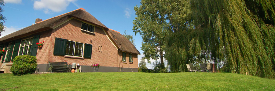 Completed lawn services in Christchurch