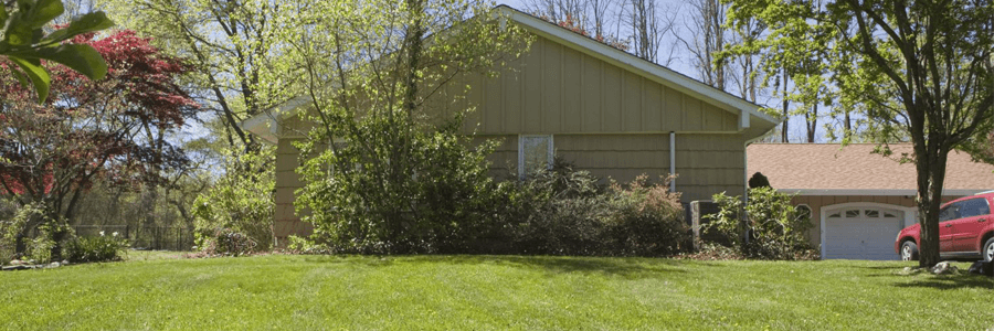 Hydroseeding project in Christchurch