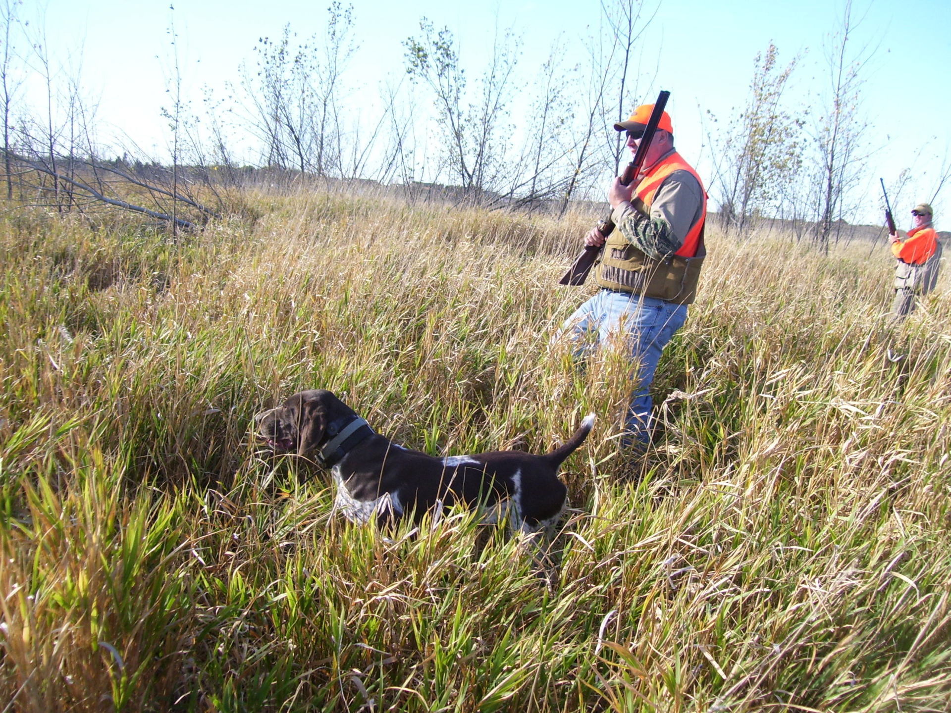 Pheasant Hunting Photos