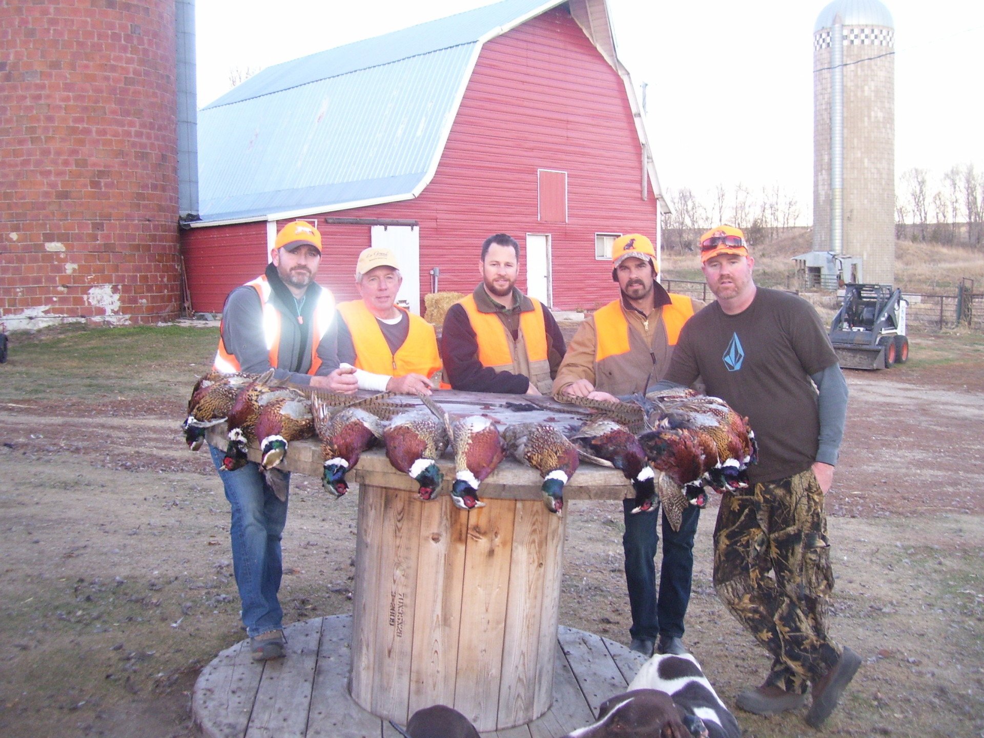 Pheasant Hunting Photos