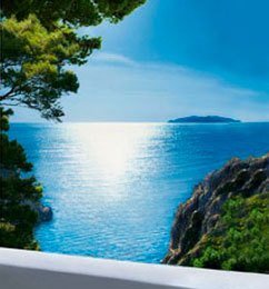 Natural beauty soap of Lasonia