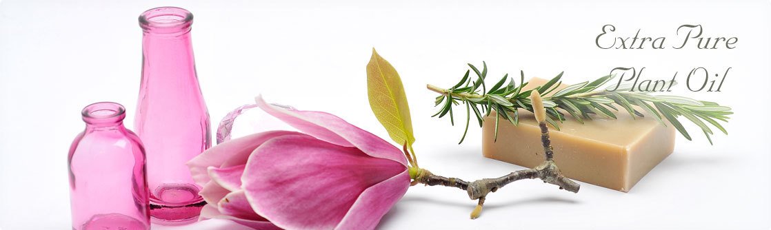 Oil plant extract soap of Lasonia