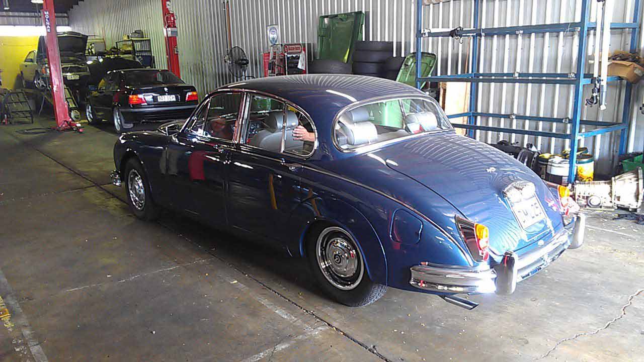 the backside of an old, blue bug