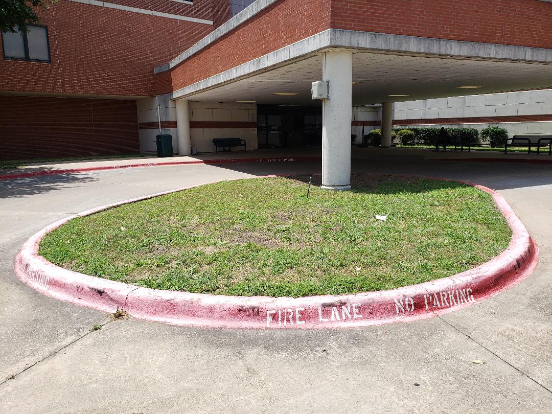 Landscaping Dallas, TX Texas Palm Trees and Irrigation LLC