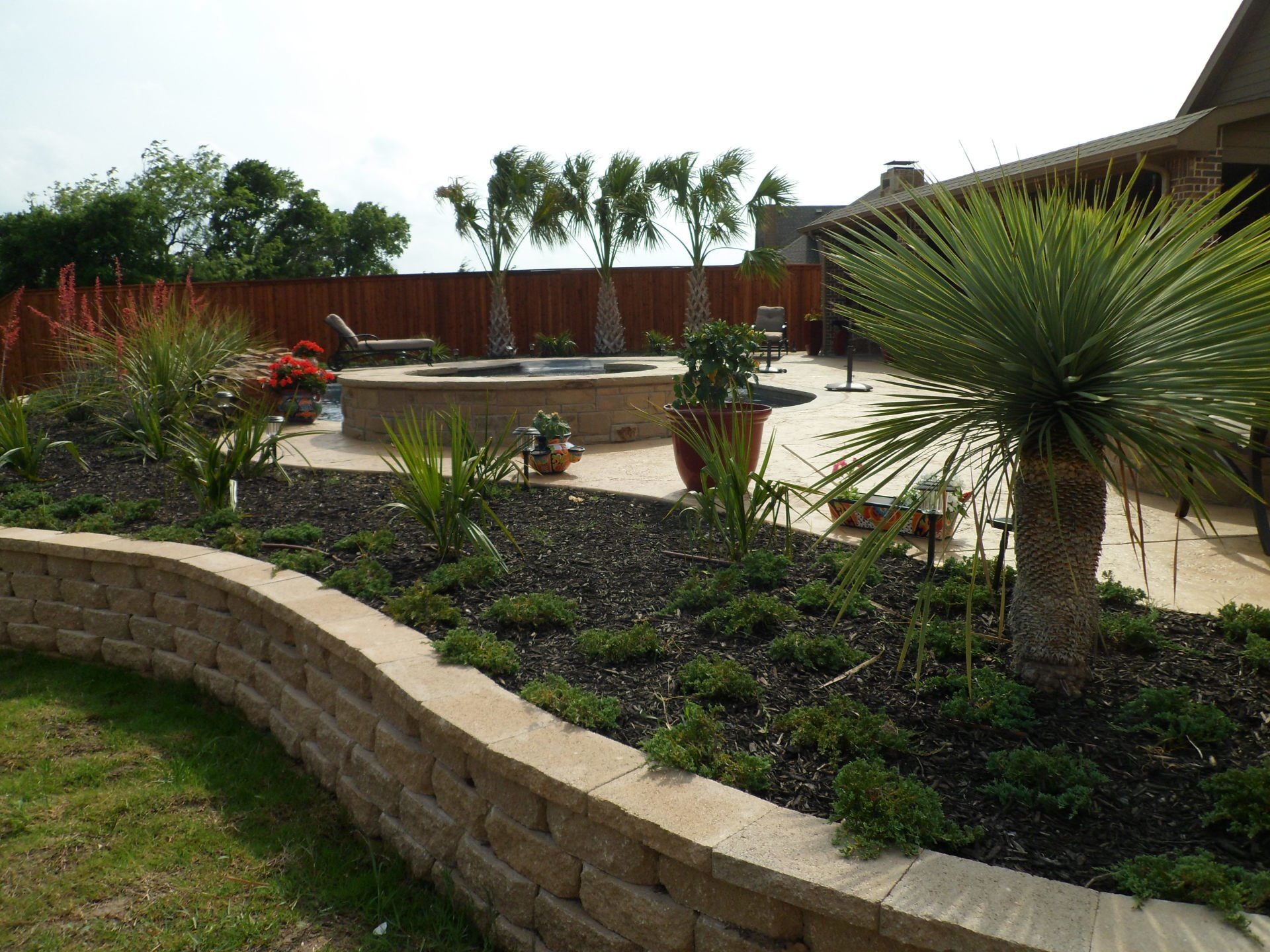 Landscaping Dallas, TX Texas Palm Trees and Irrigation LLC