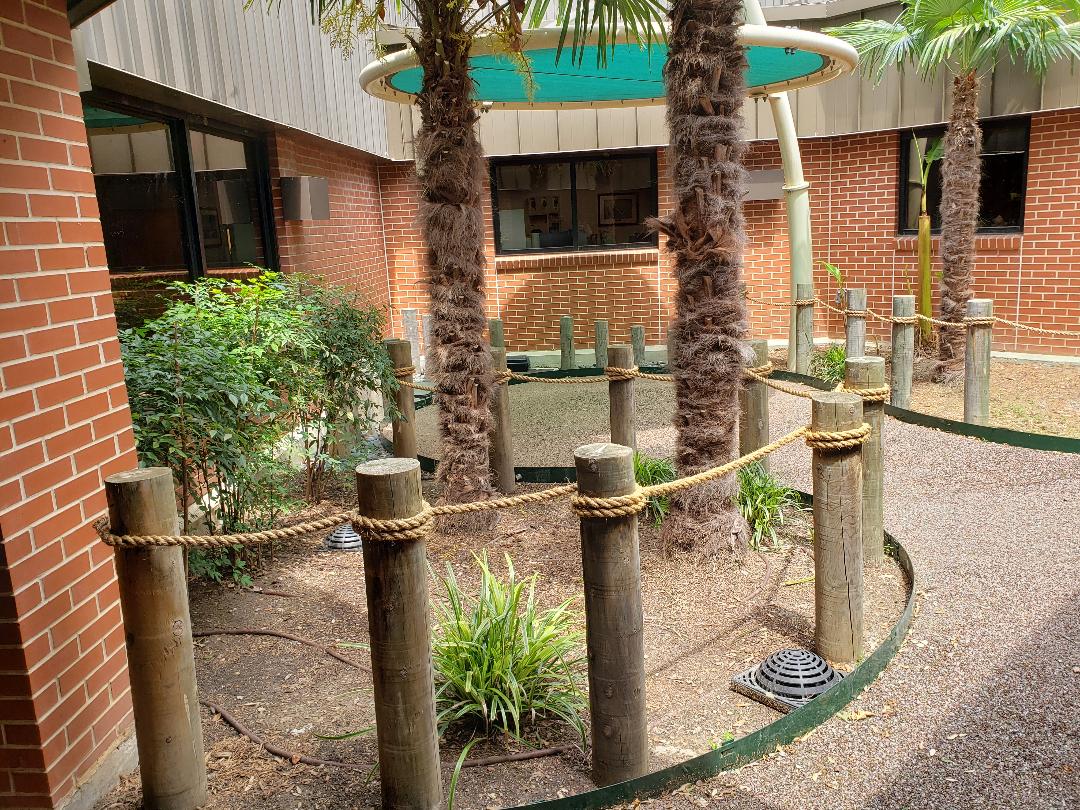 Landscaping Dallas, TX Texas Palm Trees and Irrigation LLC