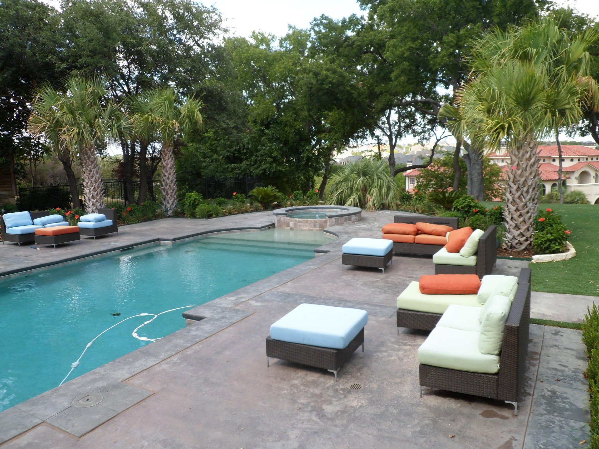 Landscaping Dallas, TX Texas Palm Trees and Irrigation LLC