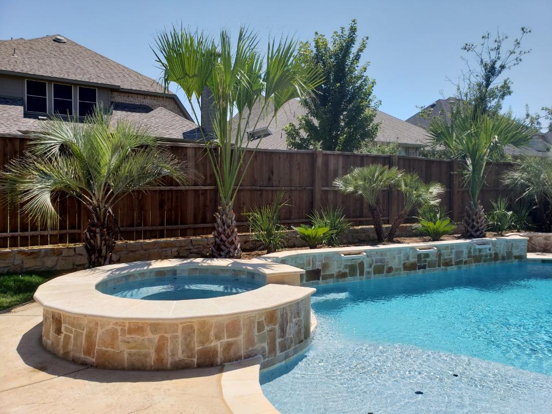 Landscaping Dallas, TX Texas Palm Trees and Irrigation LLC