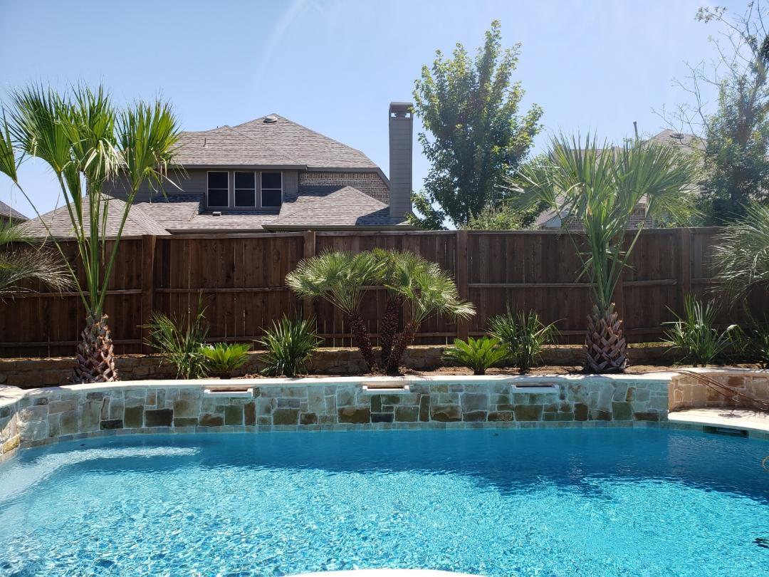 Landscaping Dallas, TX Texas Palm Trees and Irrigation LLC