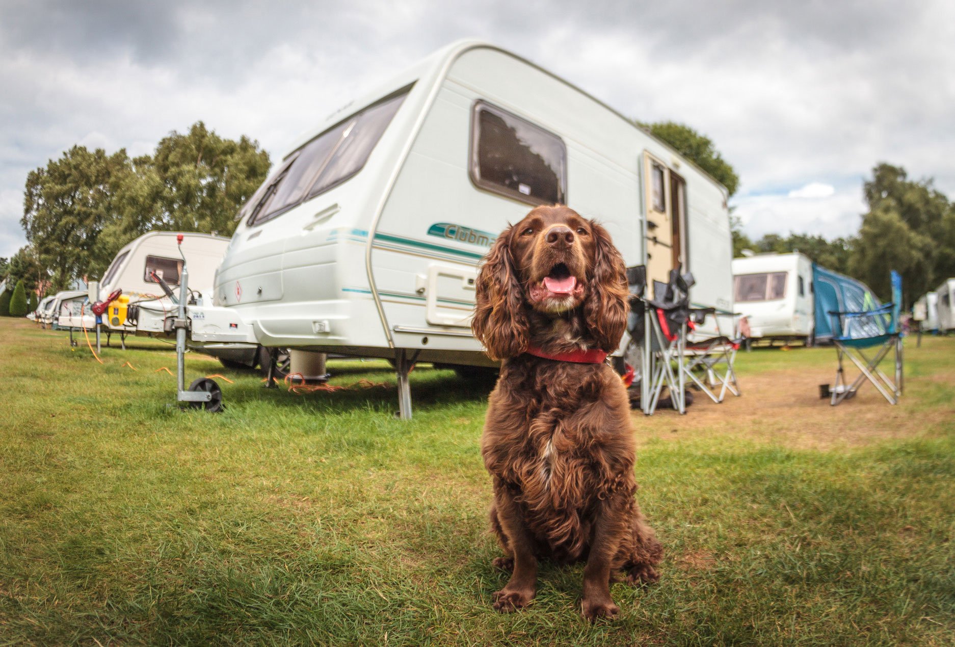 A peaceful caravan park Maxstoke Hall Farm