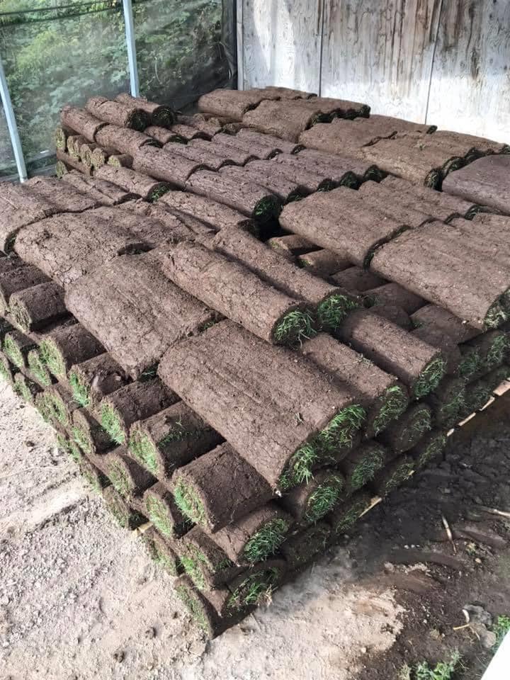 Our Company Washington State Washington Sod and Turf