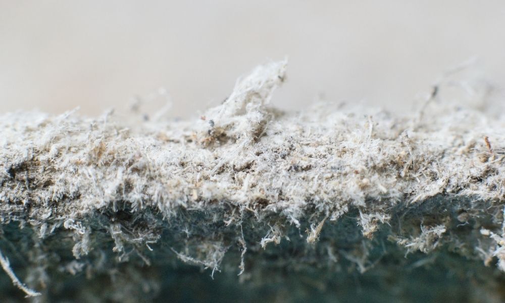 Will Insurance Cover Asbestos Removal? Will Insurance Cover Asbestos Removal?