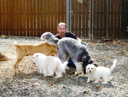 Dog Boarding Mebane Nc Dog Boarding Mebane Nc