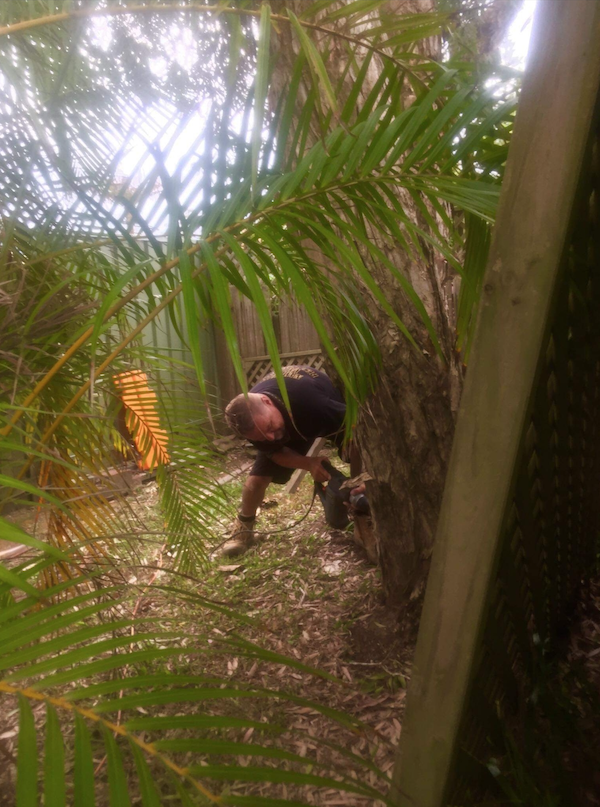 Pest Control in Port Macquarie | Mid North Coast Termite ...
