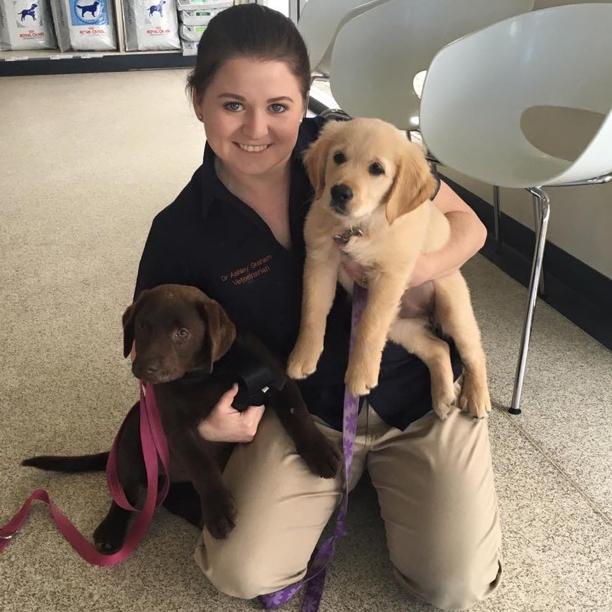 Victor Central Vet Clinic Gallery Image