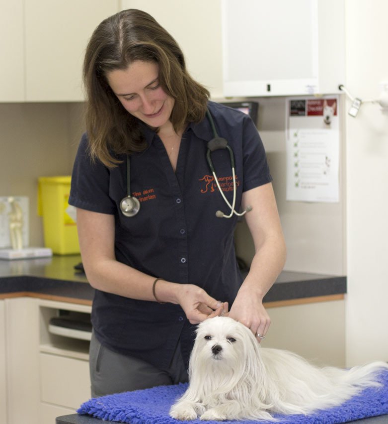 Victor Central Vet Clinic Gallery Image