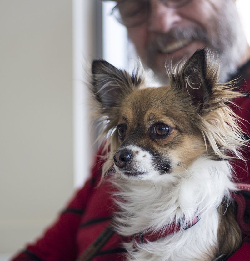 Victor Central Vet Clinic Gallery Image