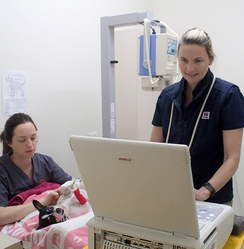 Victor Central Vet Clinic Gallery Image