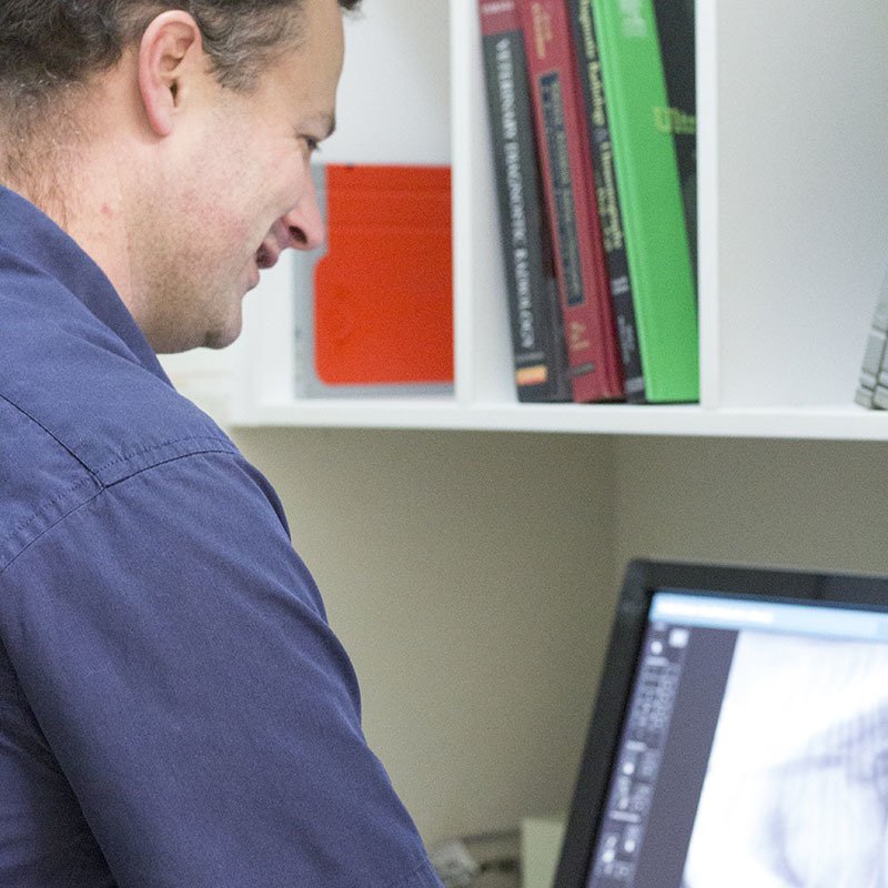 Victor Central Vet Clinic Gallery Image