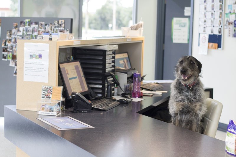 Victor Central Vet Clinic Gallery Image