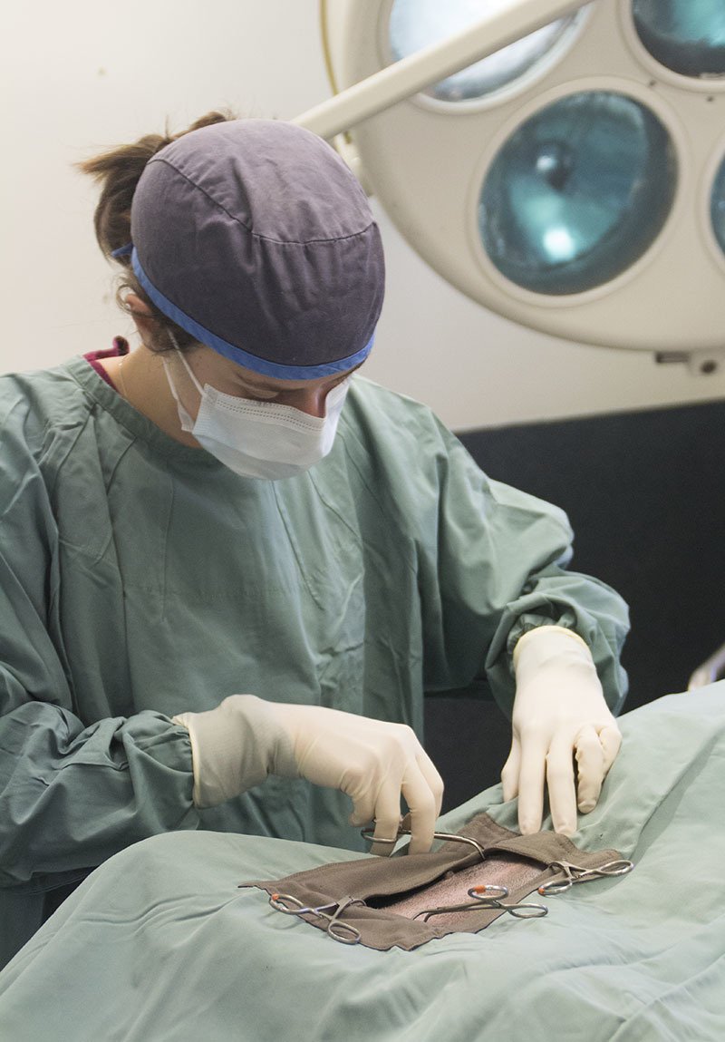 Victor Central Vet Clinic Gallery Image