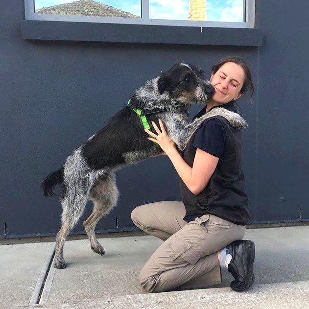 Victor Central Vet Clinic Gallery Image