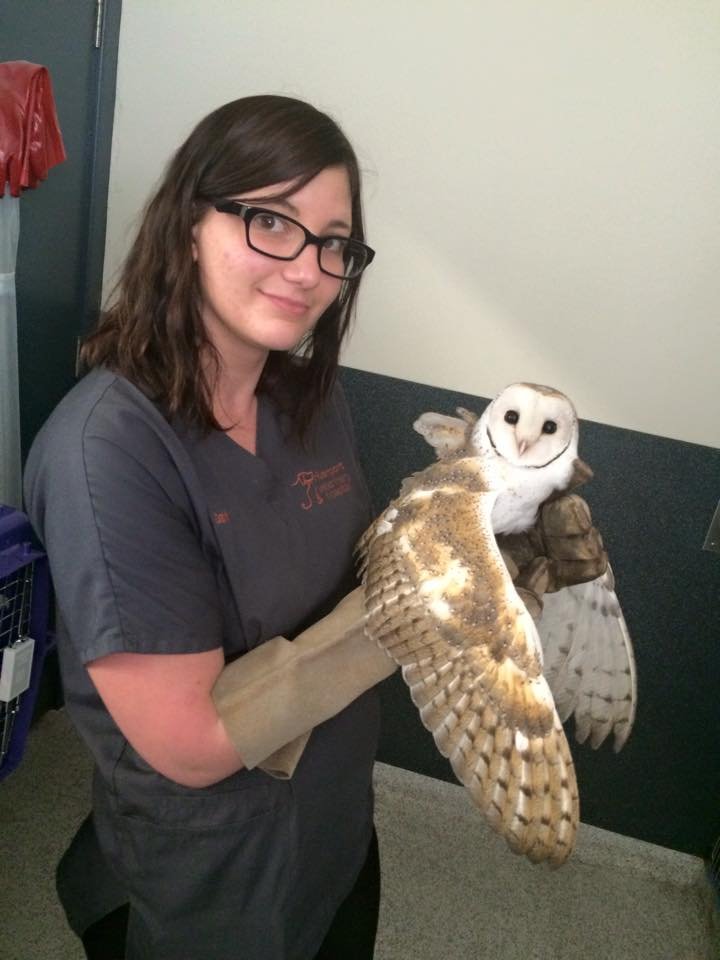 Victor Central Vet Clinic Gallery Image