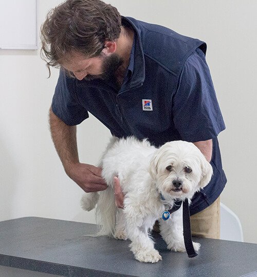 Victor Central Vet Clinic Gallery Image