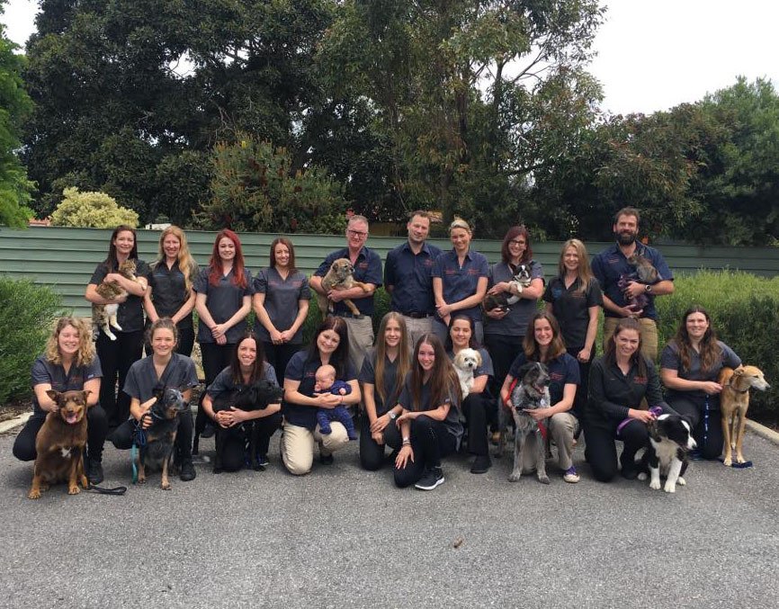 Victor Central Vet Clinic Gallery Image