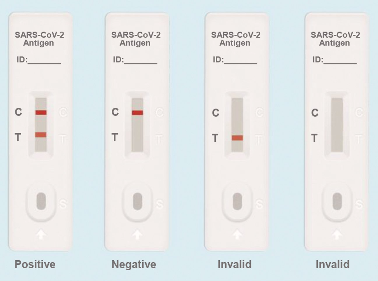microtech.eu Covid Antigen Rapid Test Kit