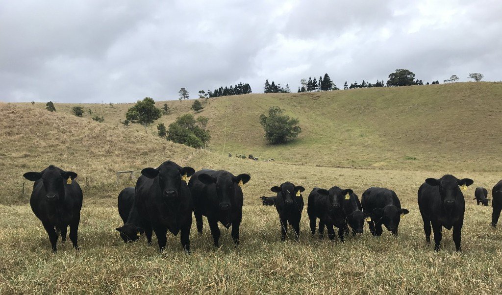 Product Sheets Hills Farm Supplies