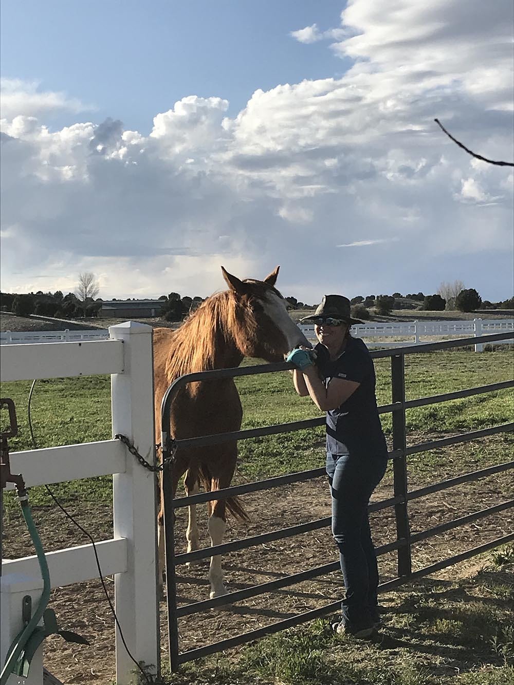 View Photos Chino Valley, AZ Los Caballos Veterinary Service