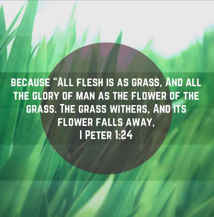 This Life Is Temporary, But The Gift Of Life Through