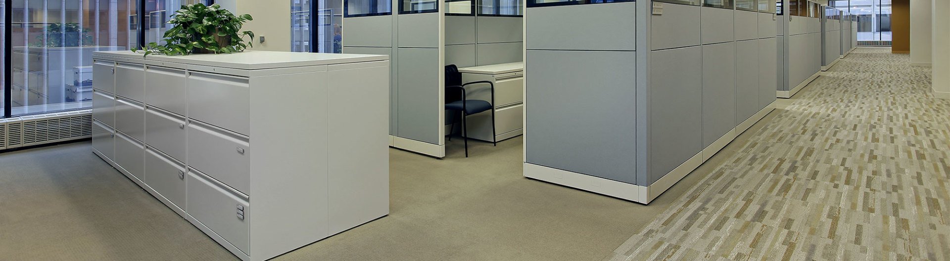 Green Carpet Cleaning Bellevue, WA