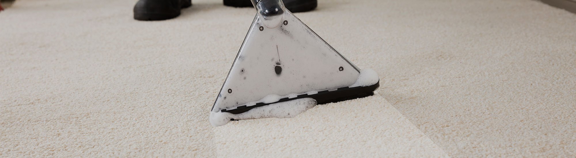 Carpet Maintenance Bellevue, WA