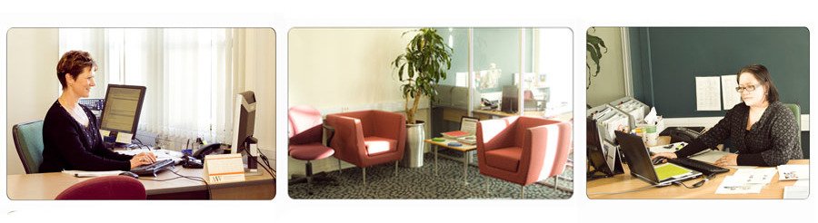 Professional team for insurance services in Pukekohe