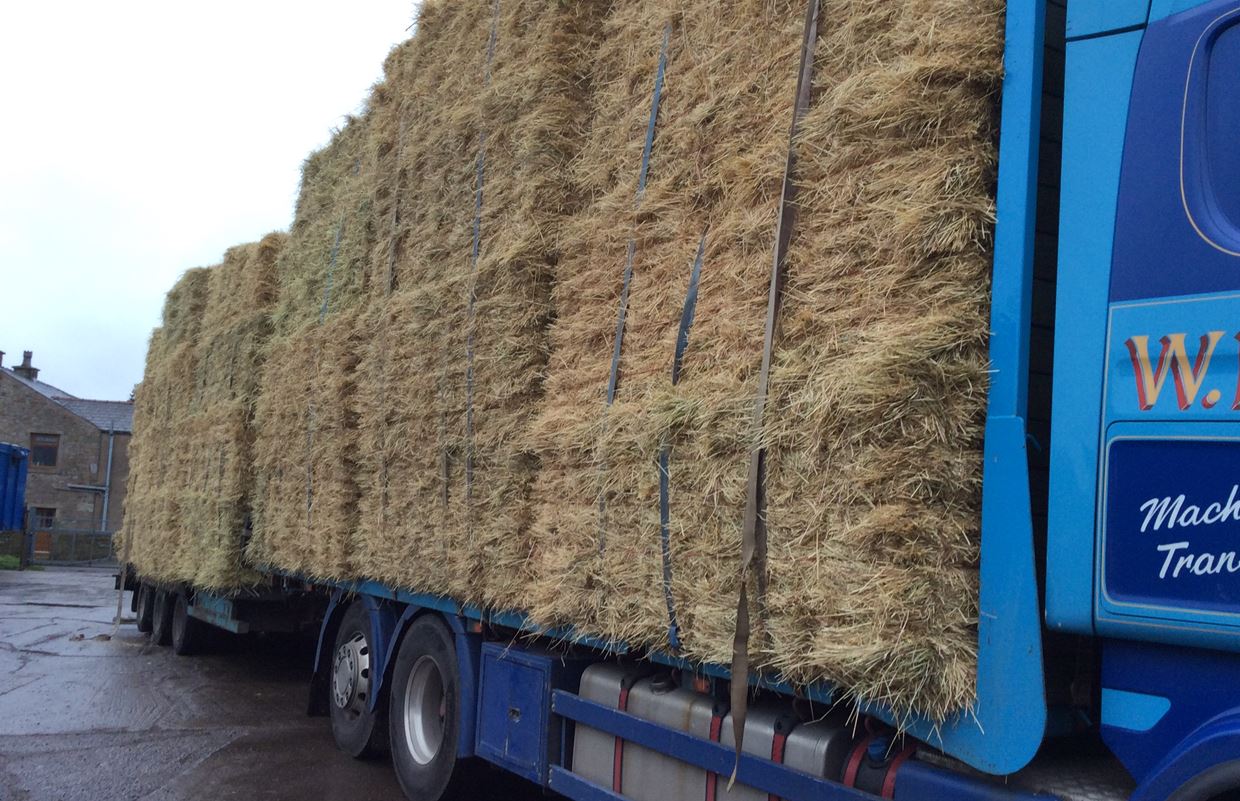Hay and straw W.M Ellison Limited