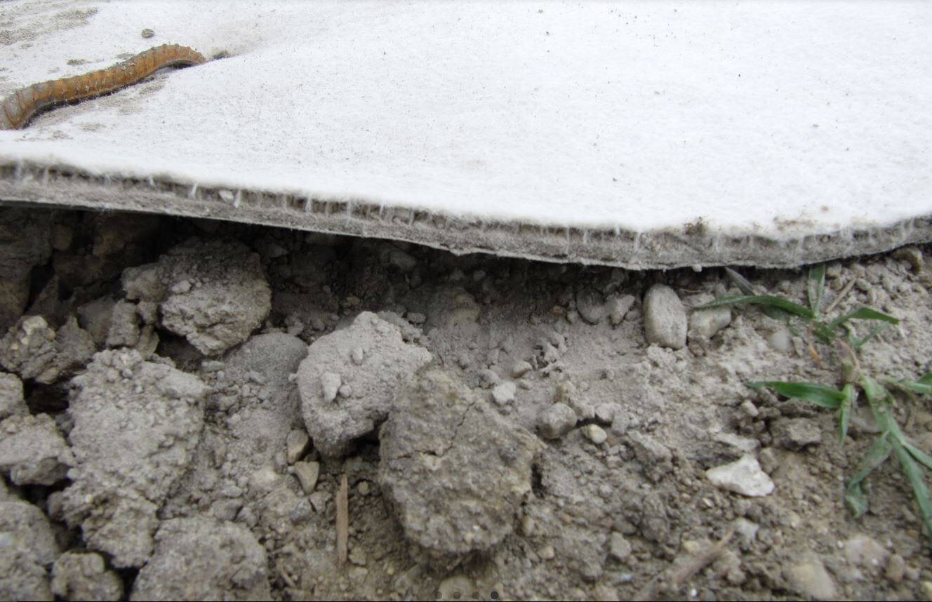 Concrete In A Roll