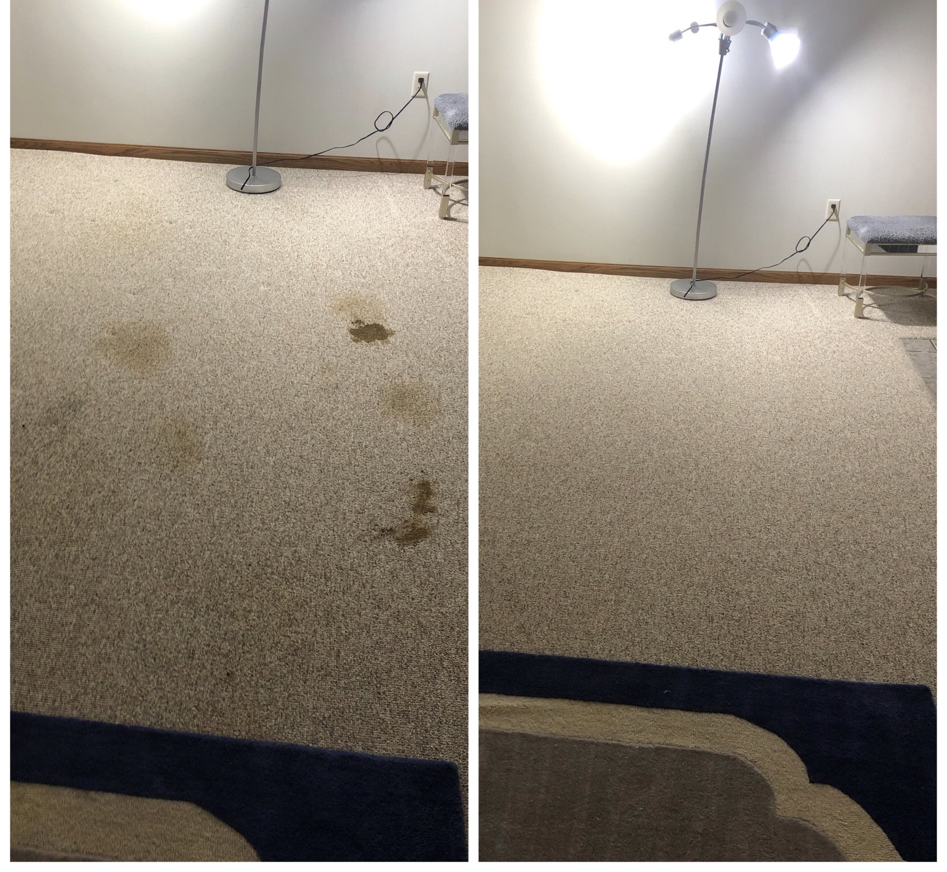 Carpet Cleaning Madison, Wi Capitol City Floor Care