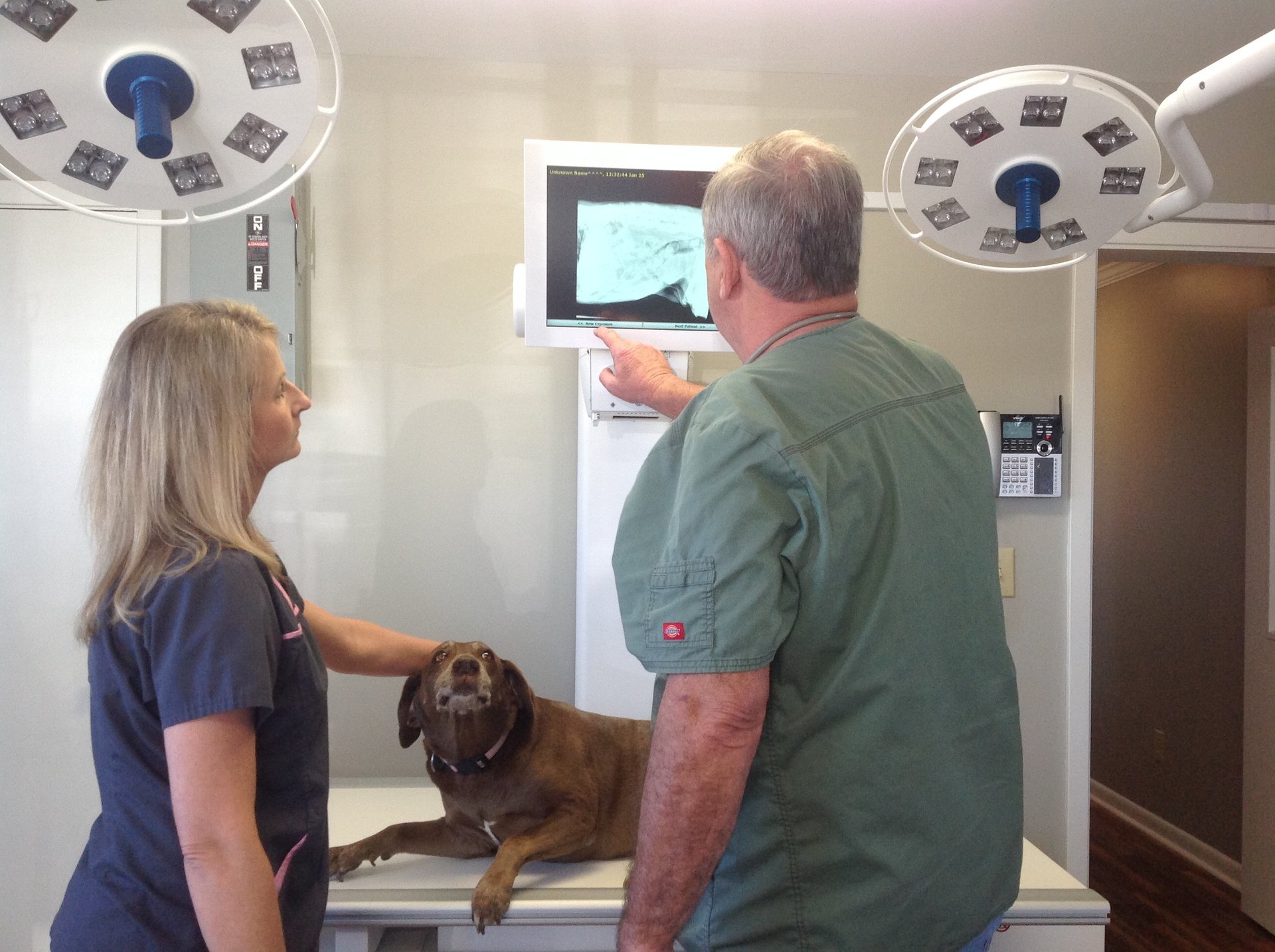 Pet Care in Robertsdale, AL l Robertsdale Animal Clinic