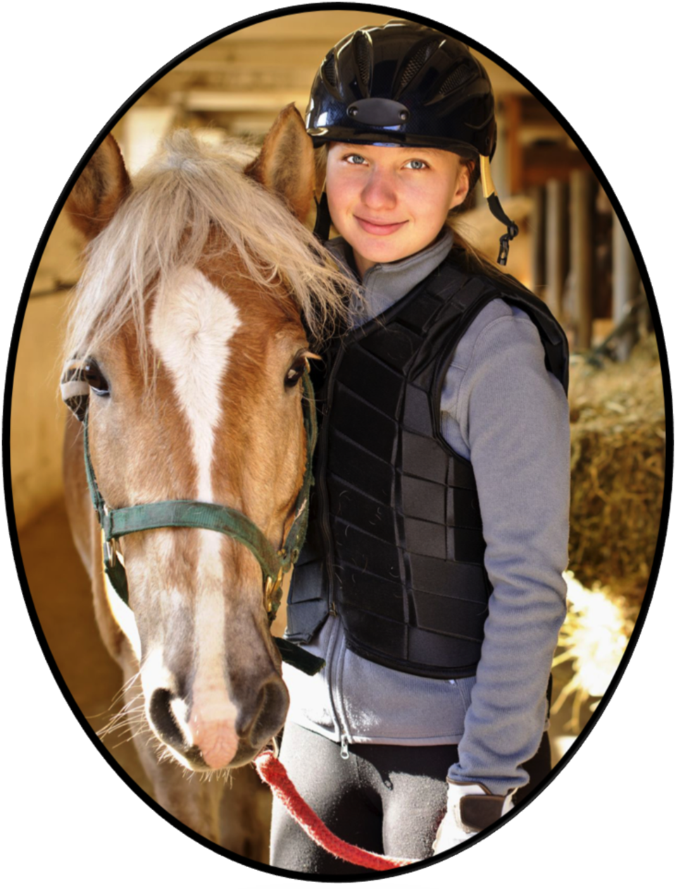 Riding Lessons Ebb Tide Kennels & Stables