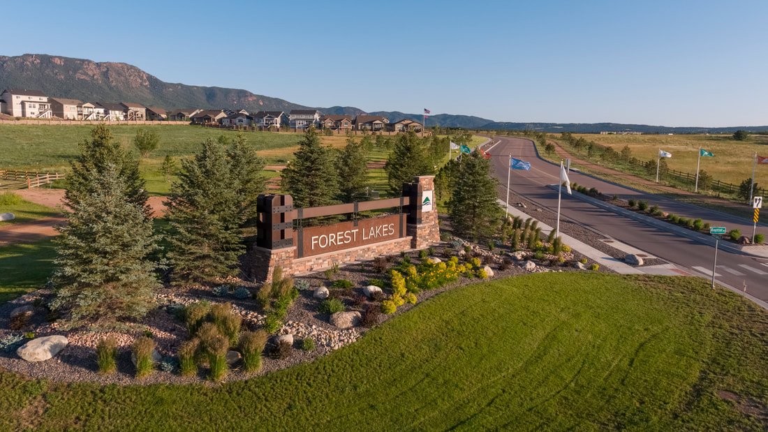 Bristlecone at Forest Lakes New Homes With Mountain View near