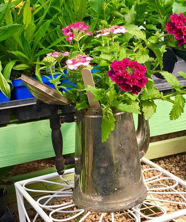 7 Sisters Greenhouse and Wedding Venue