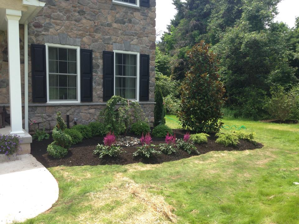 Spring House Nursery Flowers, mulch, trees and shrubs in Spring House