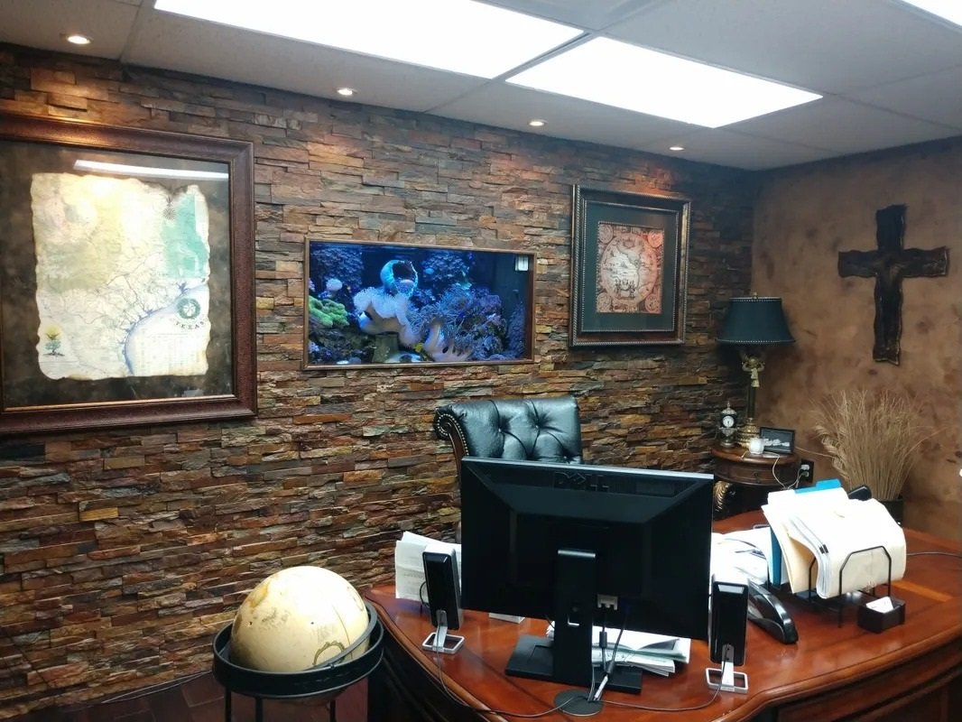 Aquarium Cleaning Services Dallas, TX Eclipse Aquatics