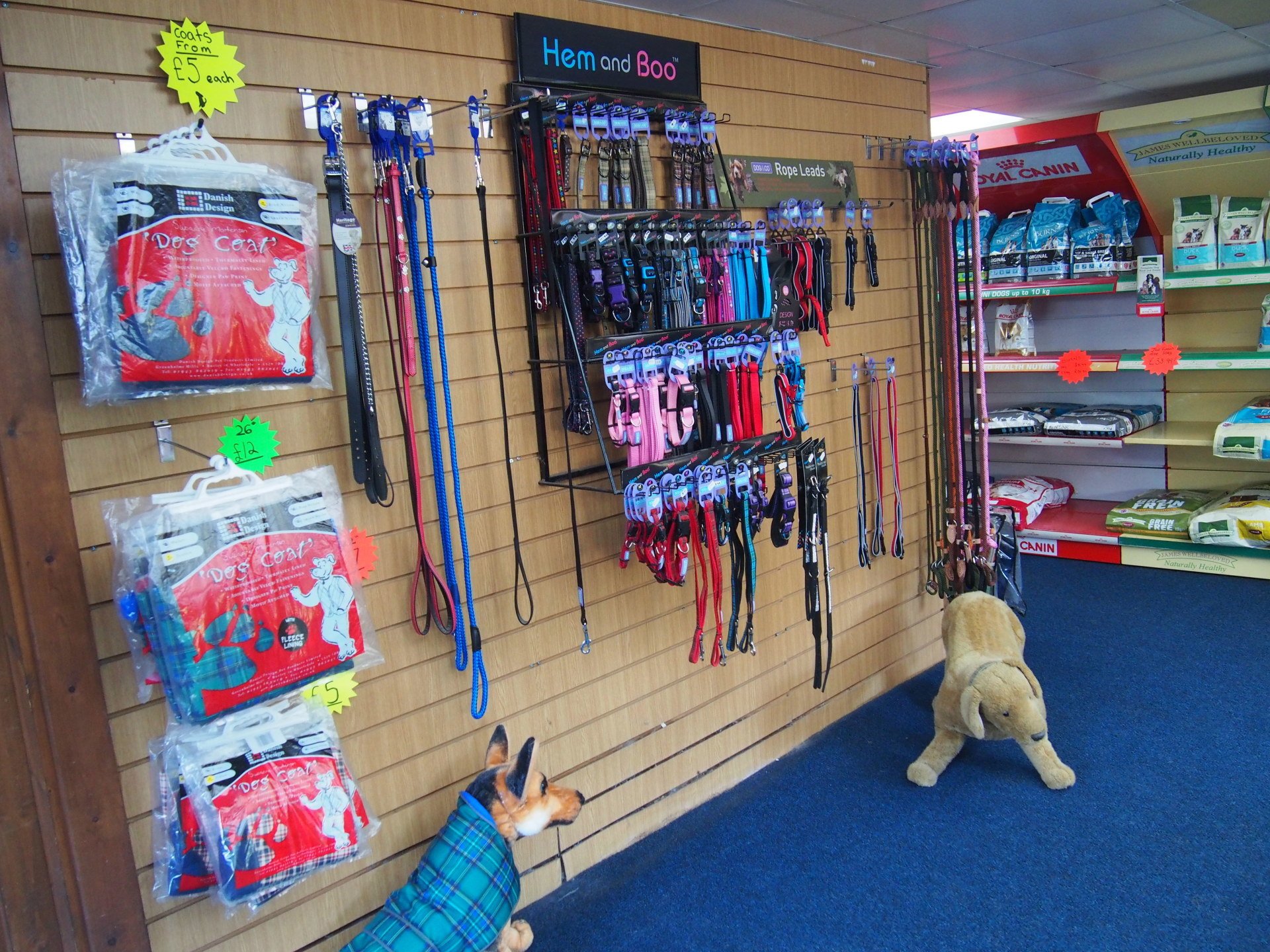 Dog Grooming & Boarding, Leeds North Rigton Boarding Kennels